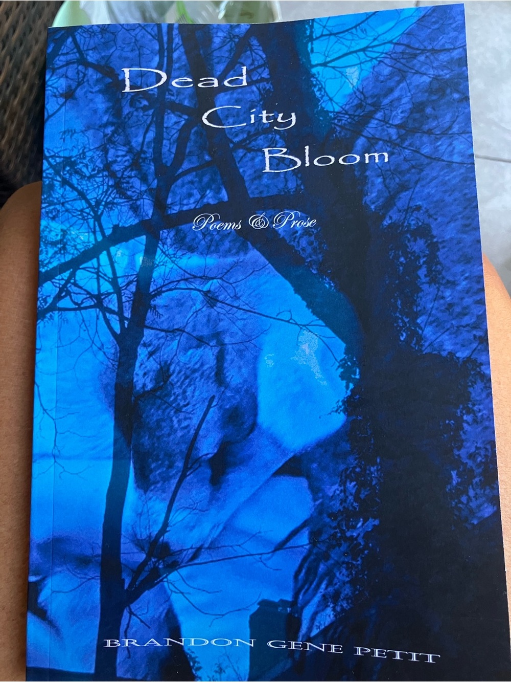 Dead City Bloom - Blue Cover Poetry Book
